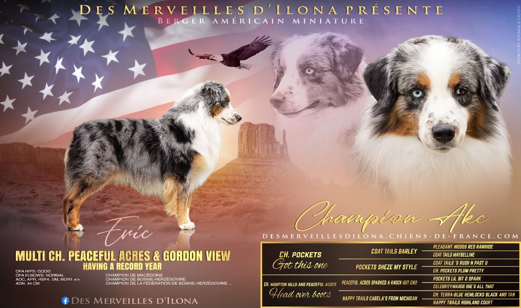 CH. peaceful acres & gordon views Having a record year