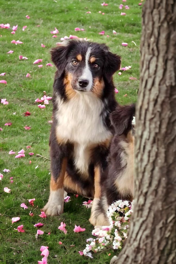 Shine a light for hope Des Merveilles d’Ilona